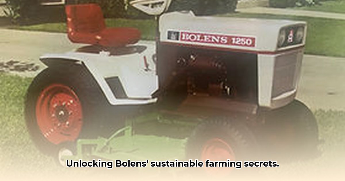 bolens-tractor-models